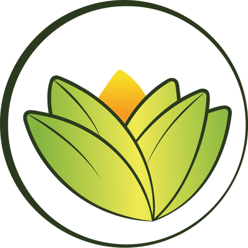 The Ayurveda Experience