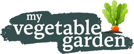My Vegetable Garden